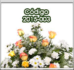 Envio de flores a funerarias en guatemala