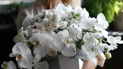 orquideas a domicilio guatemala