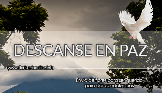 floristeria online en guatemala